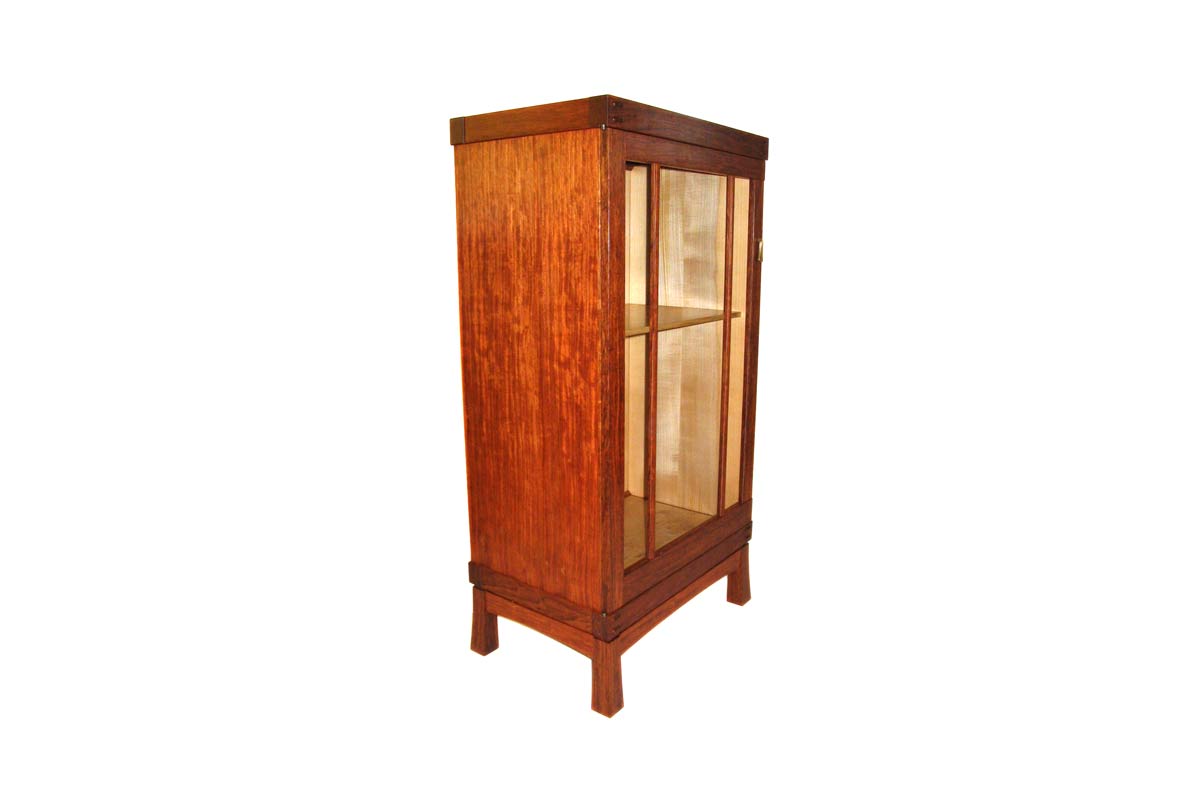 bugingaDisplayCase-2-webedit