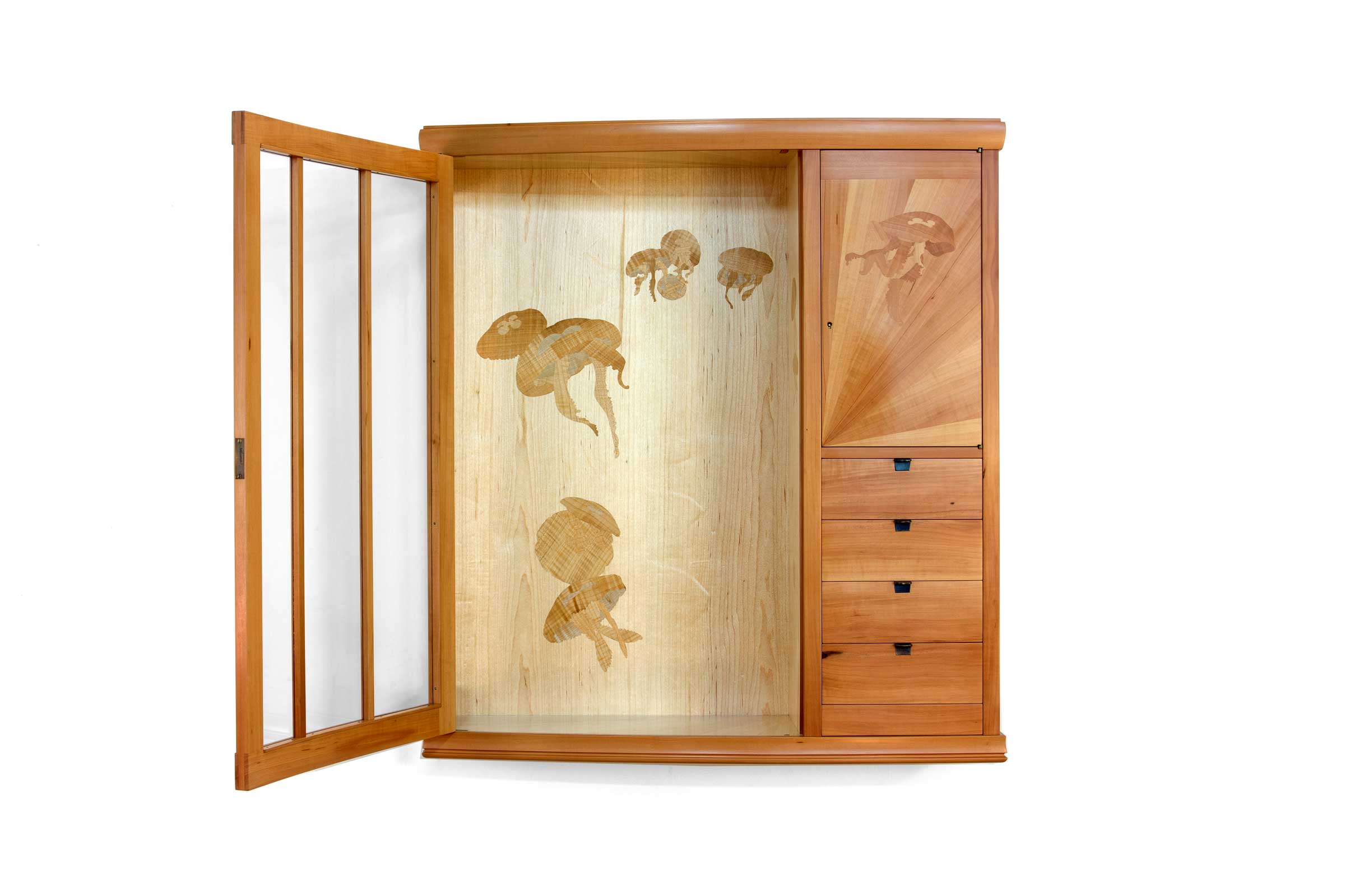 jayTScott-jellyfish-2-webedit