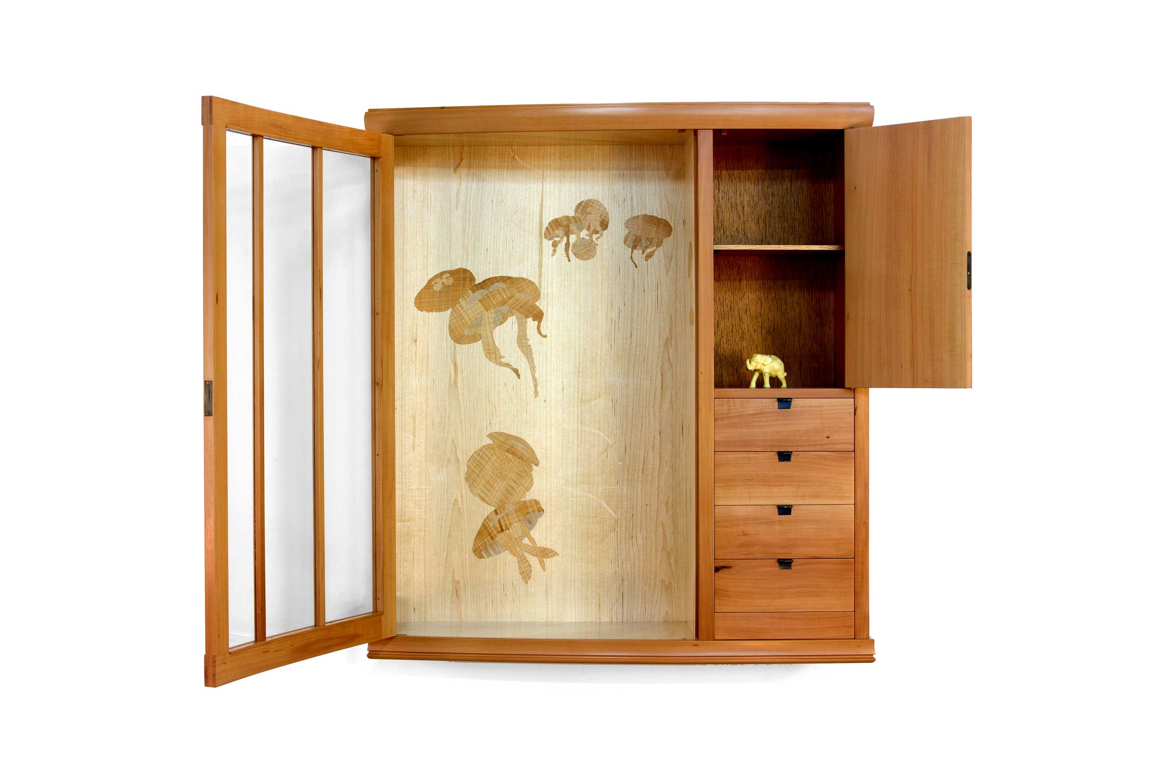 jayTScott-jellyfish-3-webedit