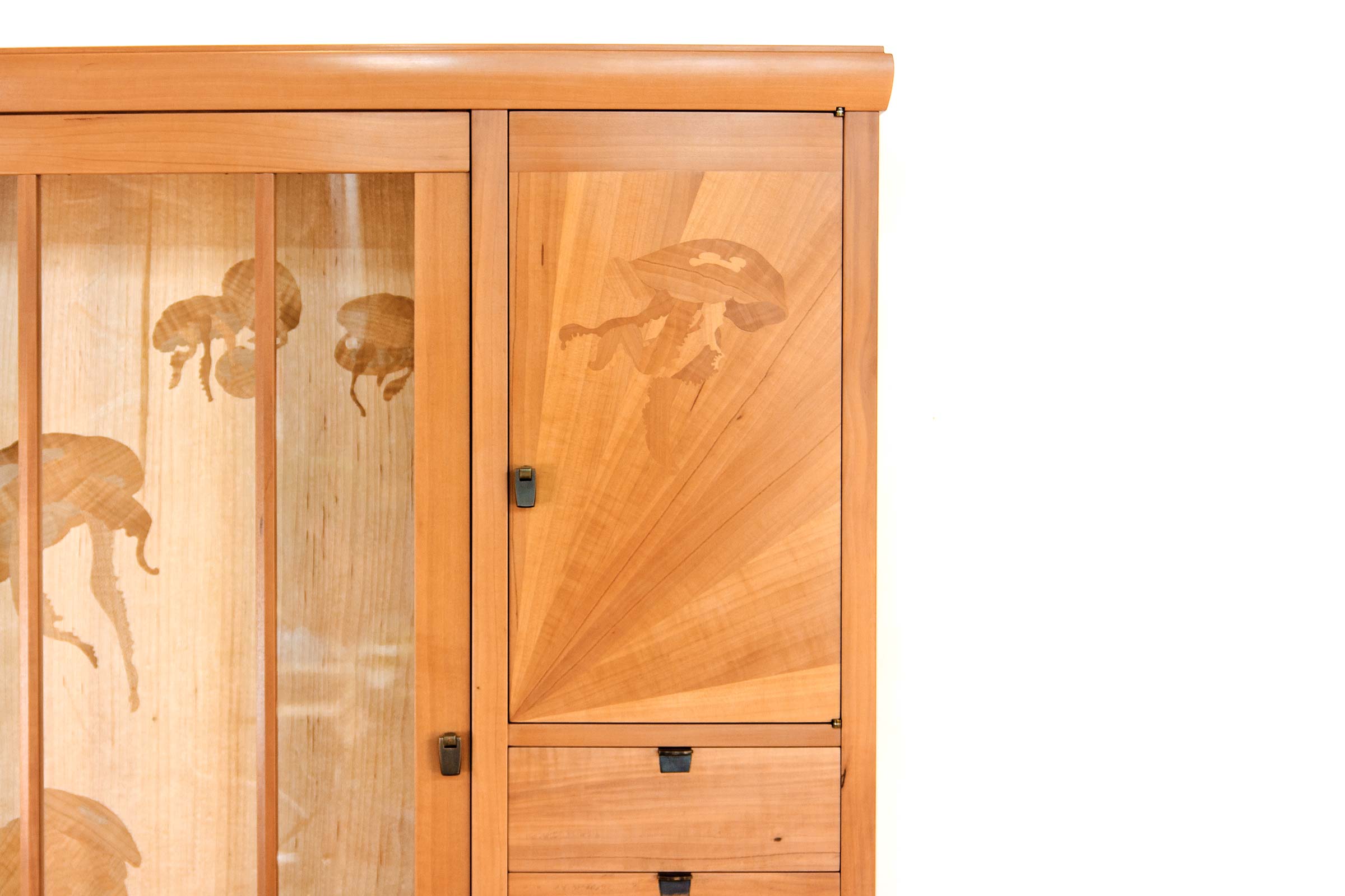 jayTScott-jellyfish-9-webedit